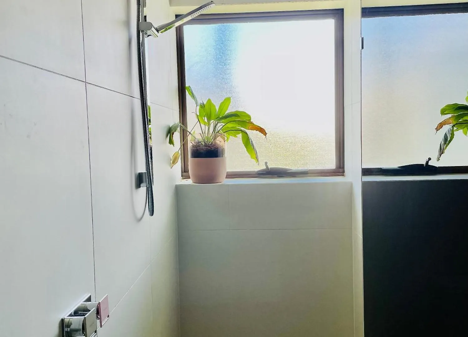 Apartment Noosa Shores Apt 29-Noosa Heads-Near Hastings St Australia
